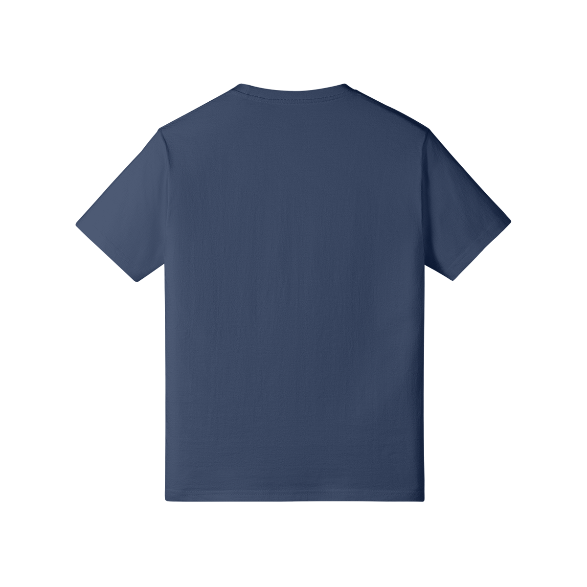 391946-Y09-Back Side